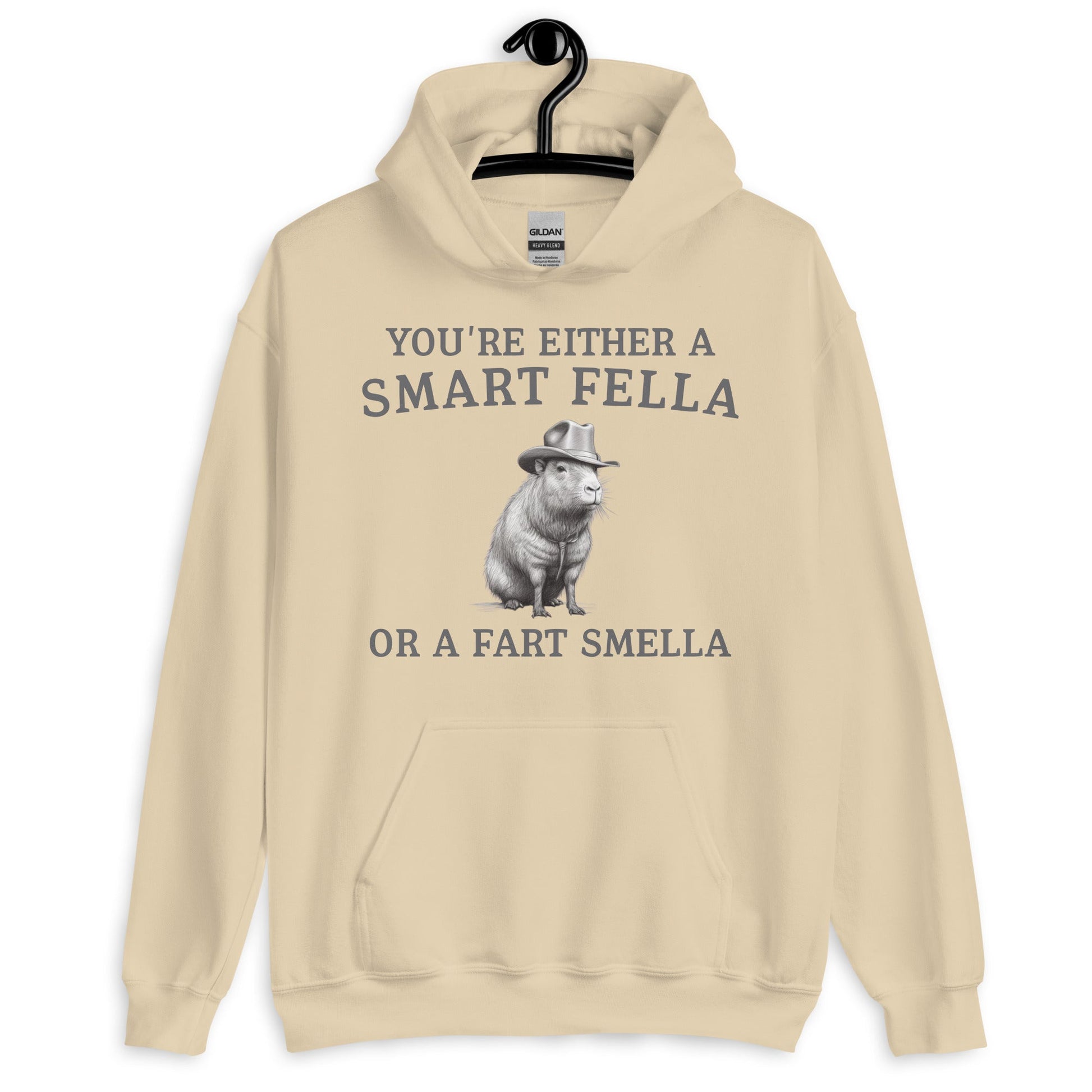 Funny Saying Smart Fella Unisex Meme Hoodie