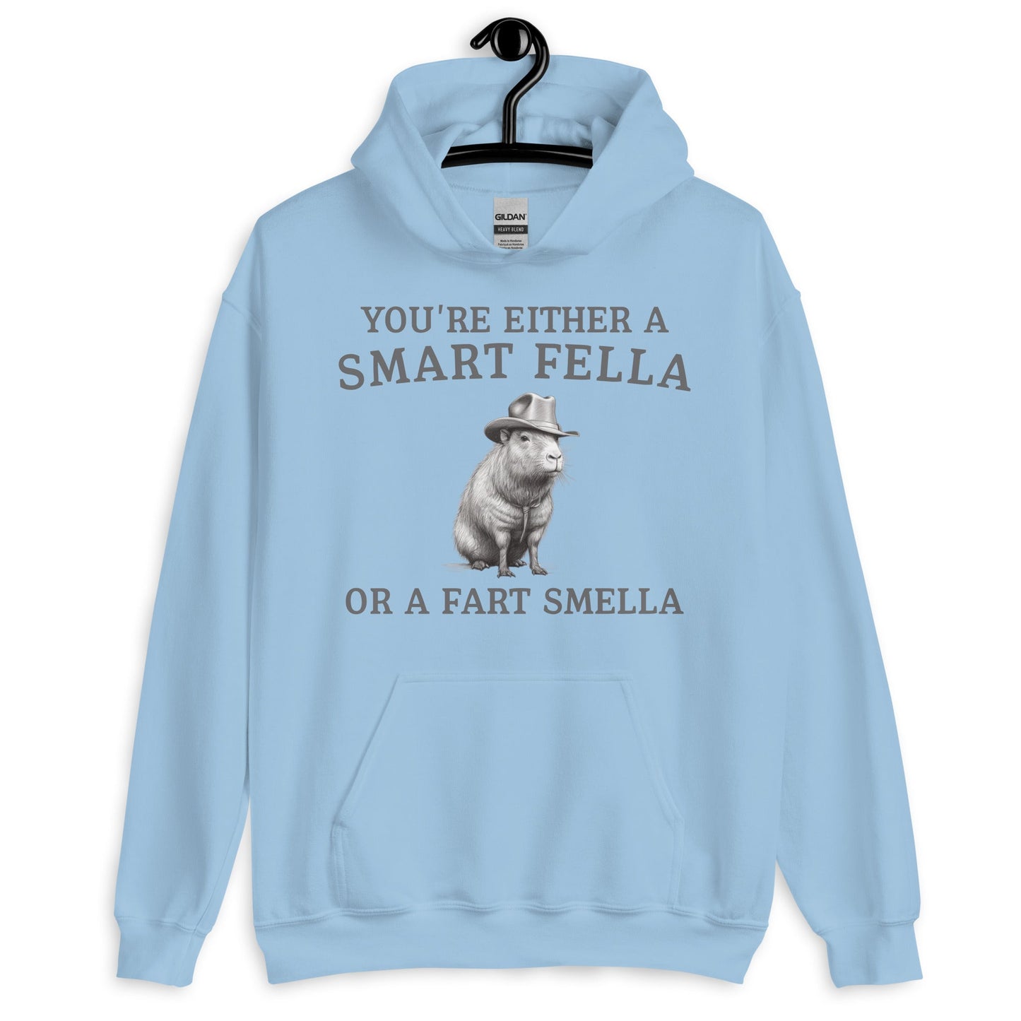 Funny Saying Smart Fella Unisex Meme Hoodie