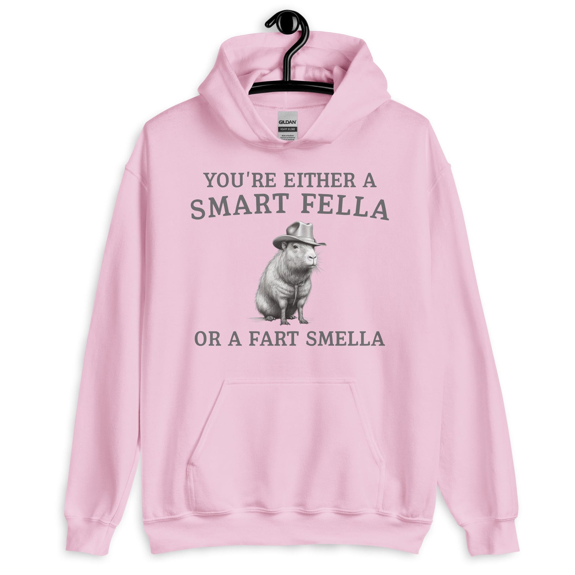 Funny Saying Smart Fella Unisex Meme Hoodie