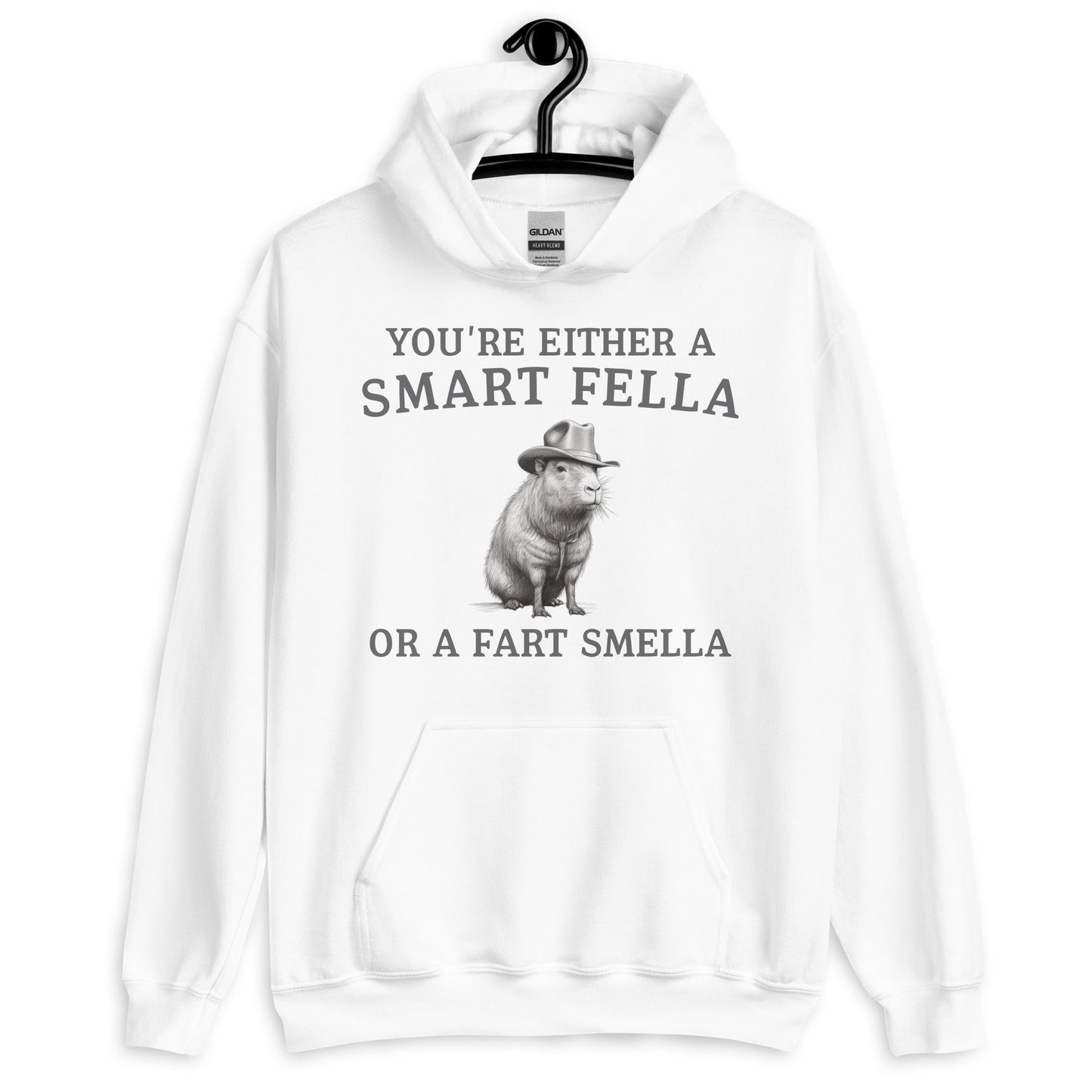 Funny Saying Smart Fella Unisex Meme Hoodie