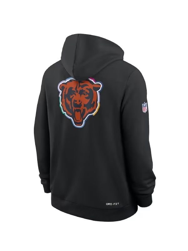 Chicago Bears 2025 Crucial Catch Hoodie Crucial Catch Chicago Bears Hoodie 2025